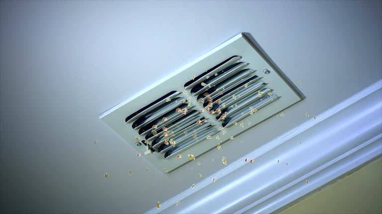 Best Affordable Air Duct Cleaning  in Gothenburg, NE